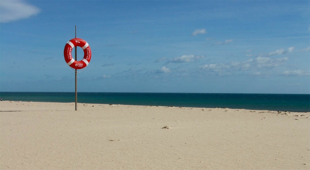 Generációváltás - Mint pillangó a bábjából